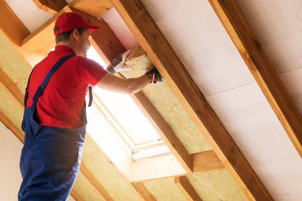 Best Attic Insulation Installation  in French Island, WI